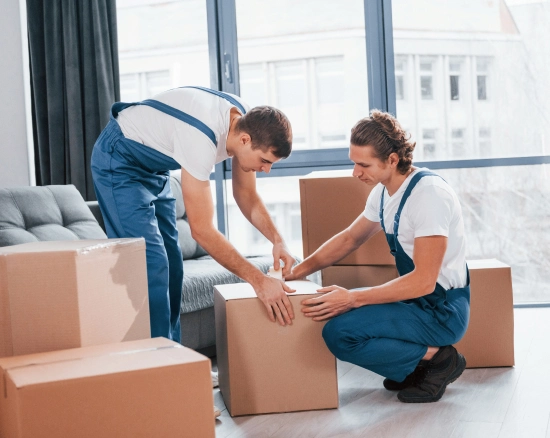 Advanced Packing Solutions for Ultimate Protection
